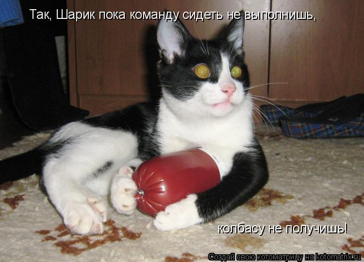 Так, Шарик пока команду сидеть не выполнишь, колбасу не получишь!... Котоматрица: Так, Шарик пока команду сидеть не выполнишь, колбасу не получишь!