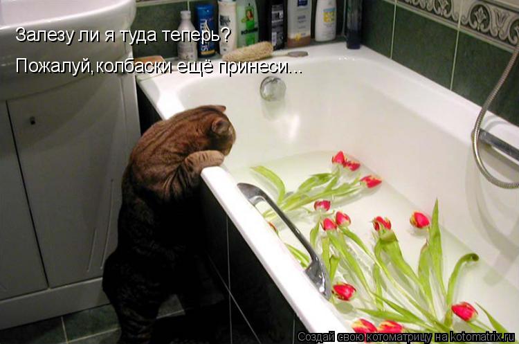 Залезу ли я туда теперь? Пожалуй,колбаски ещё принеси...... Котоматрица: Залезу ли я туда теперь? Пожалуй,колбаски ещё принеси...