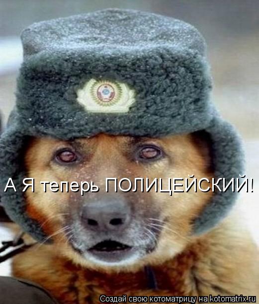 А Я теперь ПОЛИЦЕЙСКИЙ!... Котоматрица: А Я теперь ПОЛИЦЕЙСКИЙ!