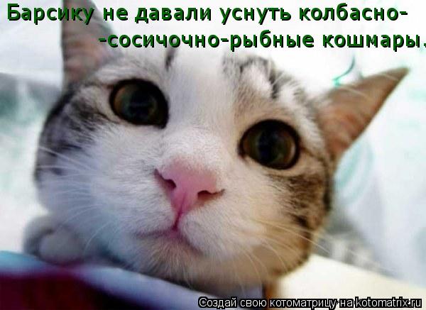 Барсику не давали уснуть колбасно- -сосичочно-рыбные кошмары.... Котоматрица: Барсику не давали уснуть колбасно- -сосичочно-рыбные кошмары.