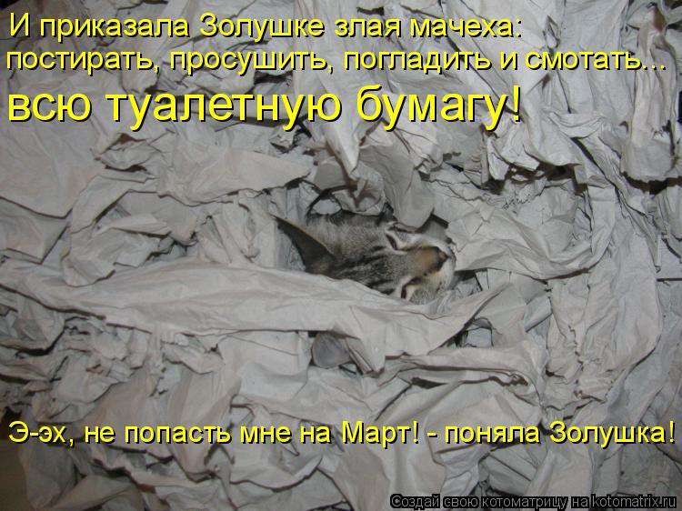 И приказала Золушке злая мачеха: постирать, просушить, погладить и смотать... всю туалетную бумагу! ... Котоматрица: И приказала Золушке злая мачеха: постирать, просушить, погладить и смотать... всю туалетную бумагу! Э-эх, не попасть мне на Март! - поняла Золу