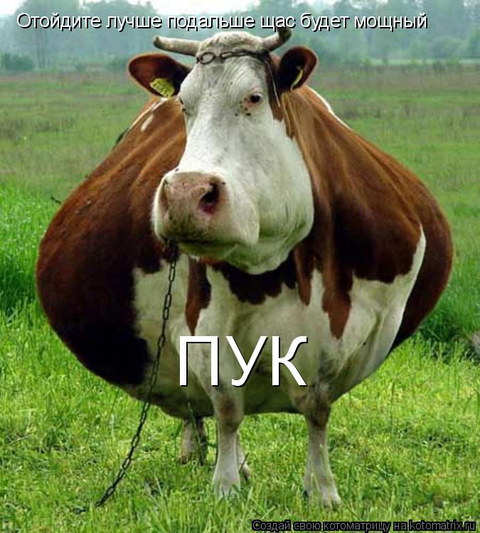 Отойдите лучше подальше щас будет мощный ПУК... Котоматрица: Отойдите лучше подальше щас будет мощный ПУК