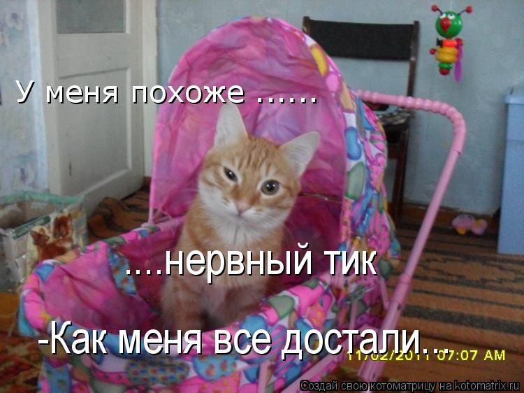 У меня похоже ...... ....нервный тик -Как меня все достали...... Котоматрица: У меня похоже ...... ....нервный тик -Как меня все достали...
