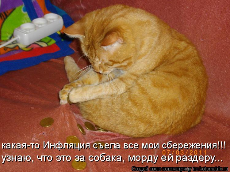 какая-то Инфляция съела все мои сбережения!!! узнаю, что это за собака, морду ей раздеру...... Котоматрица: какая-то Инфляция съела все мои сбережения!!! узнаю, что это за собака, морду ей раздеру...