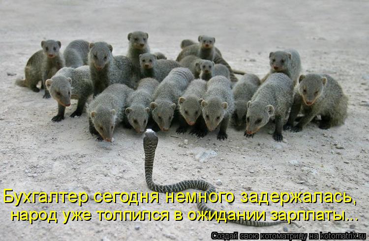 Бухгалтер сегодня немного задержалась, народ уже толпился в ожидании зарплаты...... Котоматрица: Бухгалтер сегодня немного задержалась, народ уже толпился в ожидании зарплаты...