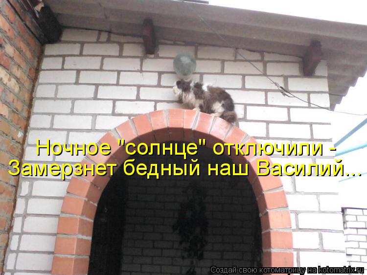 Ночное "солнце" отключили - Замерзнет бедный наш Василий...... Котоматрица: Ночное "солнце" отключили - Замерзнет бедный наш Василий...