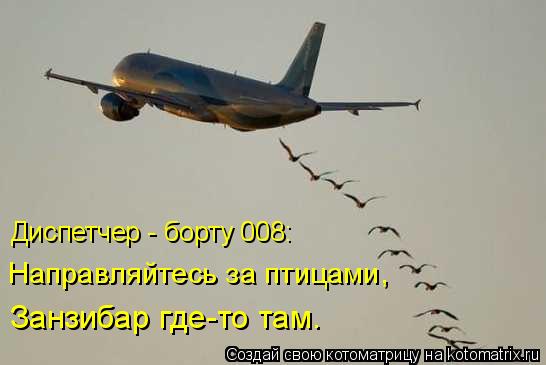 Диспетчер - борту 008: Направляйтесь за птицами, Занзибар где-то там.... Котоматрица: Диспетчер - борту 008: Направляйтесь за птицами, Занзибар где-то там.