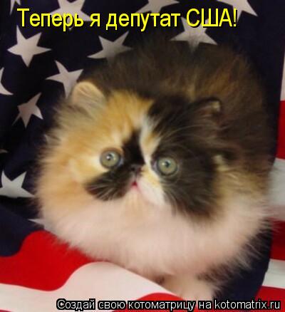 Котоматрица: Теперь я депутат США!