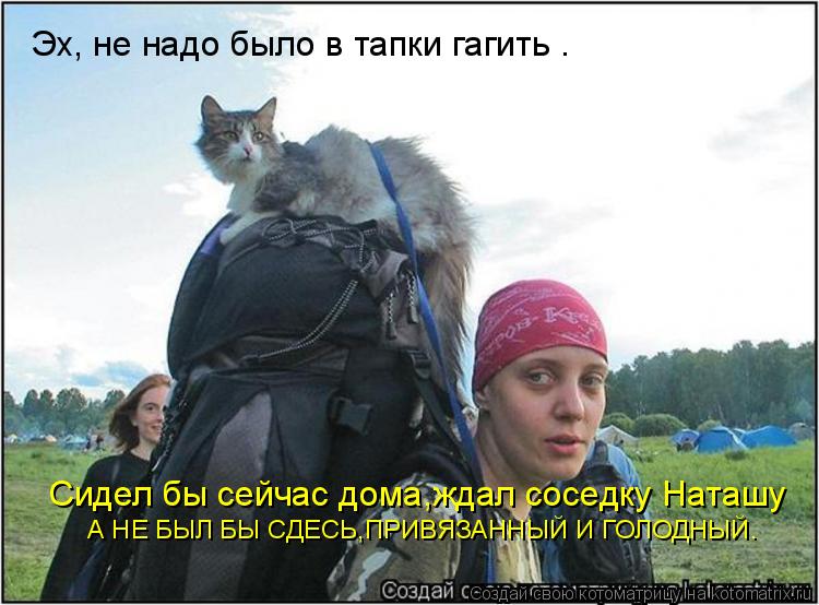 Эх, не надо было в тапки гагить . Сидел бы сейчас дома,ждал соседку Наташу А НЕ БЫЛ БЫ СДЕСЬ,ПРИВЯЗАН... Котоматрица: Эх, не надо было в тапки гагить . Сидел бы сейчас дома,ждал соседку Наташу А НЕ БЫЛ БЫ СДЕСЬ,ПРИВЯЗАННЫЙ И ГОЛОДНЫЙ.
