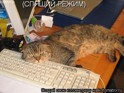 (СПЯЩИЙ РЕЖИМ)... Котоматрица: (СПЯЩИЙ РЕЖИМ)