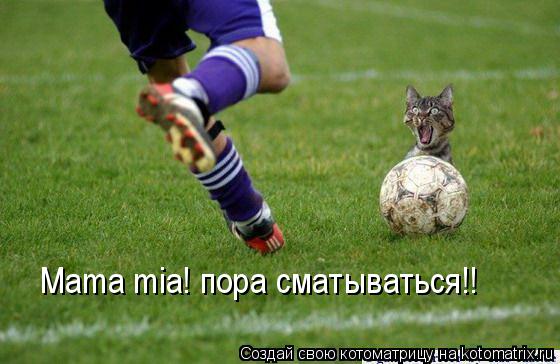 Mama mia! пора сматываться!!... Котоматрица: Mama mia! пора сматываться!!