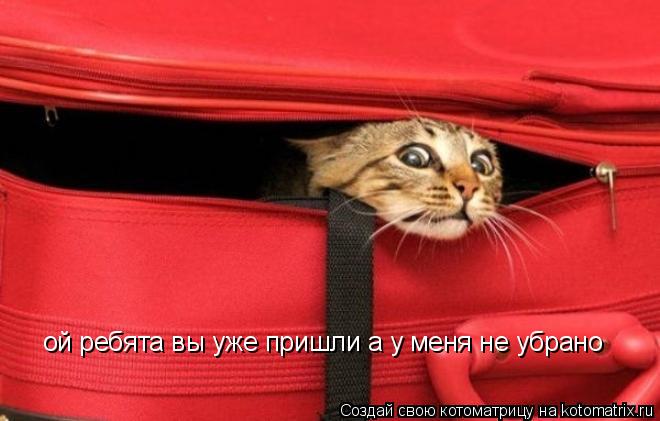 ой ребята вы уже пришли а у меня не убрано... Котоматрица: ой ребята вы уже пришли а у меня не убрано