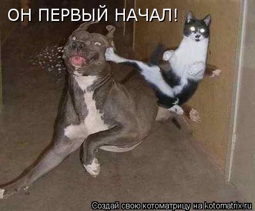 ОН ПЕРВЫЙ НАЧАЛ!... Котоматрица: ОН ПЕРВЫЙ НАЧАЛ!