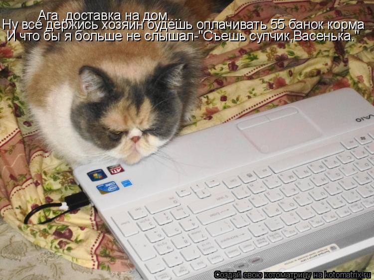 Ага ,доставка на дом.... Ну всё держись хозяин будешь оплачивать 55 банок корма И что бы я больше не ... Котоматрица: Ага ,доставка на дом.... Ну всё держись хозяин будешь оплачивать 55 банок корма И что бы я больше не слышал-"Съешь супчик,Васенька."