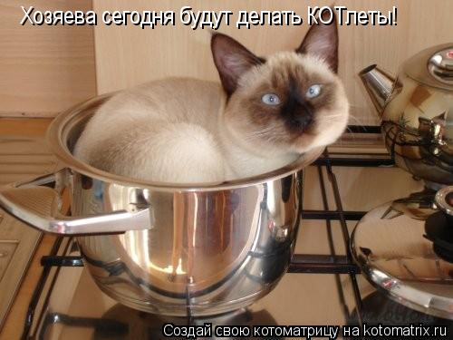 Хозяева сегодня будут делать КОТлеты!... Котоматрица: Хозяева сегодня будут делать КОТлеты!