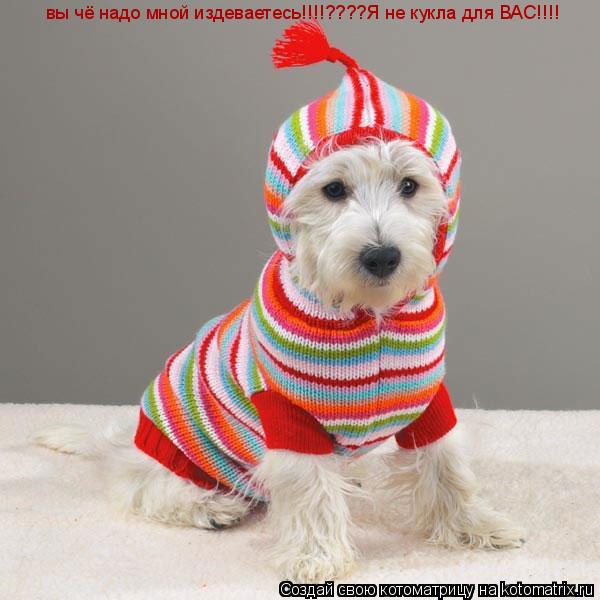 вы чё надо мной издеваетесь!!!!????Я не кукла для ВАС!!!!... Котоматрица: вы чё надо мной издеваетесь!!!!????Я не кукла для ВАС!!!!