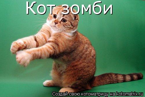 Кот зомби... Котоматрица: Кот зомби