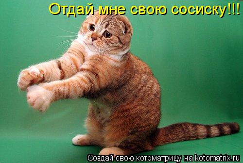 Котоматрица: Отдай мне свою сосиску!!!