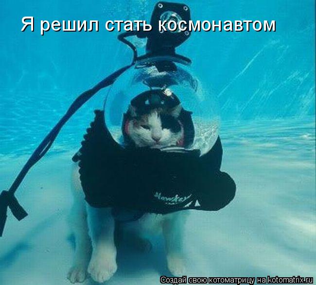 Я решил стать космонавтом... Котоматрица: Я решил стать космонавтом