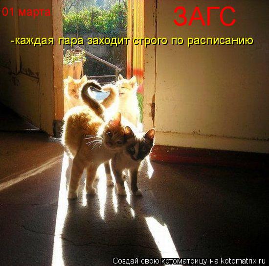 ЗАГС -каждая пара заходит строго по расписанию 01 марта... Котоматрица: ЗАГС -каждая пара заходит строго по расписанию 01 марта