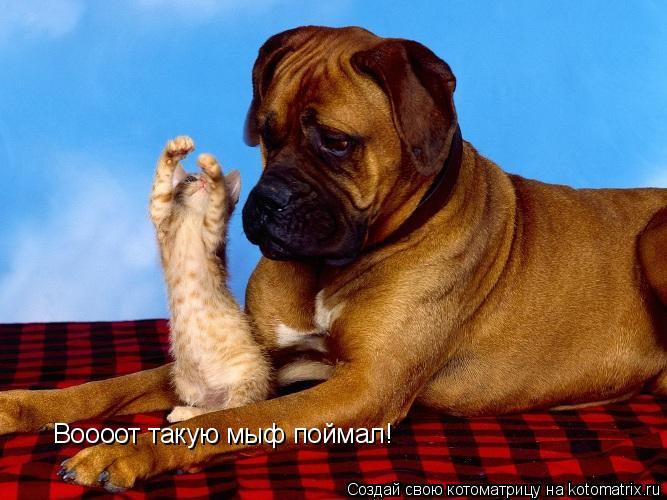Воооот такую мыф поймал!... Котоматрица: Воооот такую мыф поймал!