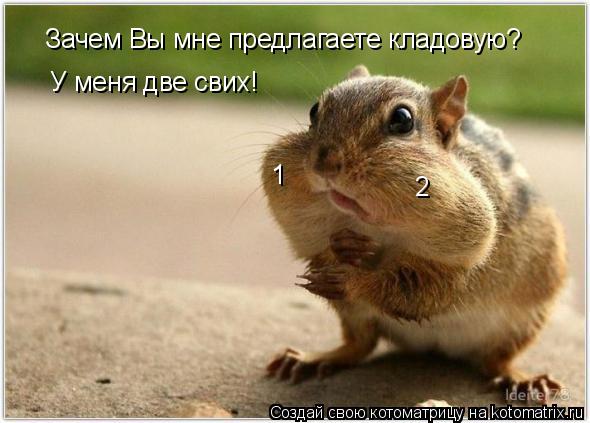 Зачем Вы мне предлагаете кладовую? У меня две свих! 1 2... Котоматрица: Зачем Вы мне предлагаете кладовую? У меня две свих! 1 2