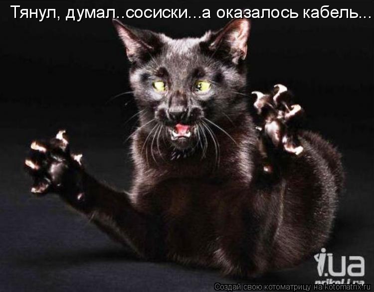 Тянул, думал..сосиски...а оказалось кабель...... Котоматрица: Тянул, думал..сосиски...а оказалось кабель...