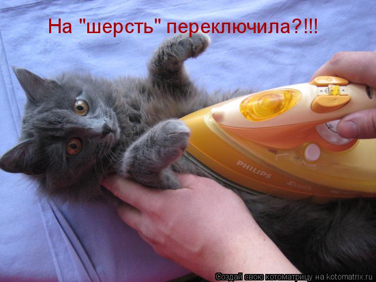 На "шерсть" переключила?!!!... Котоматрица: На "шерсть" переключила?!!!