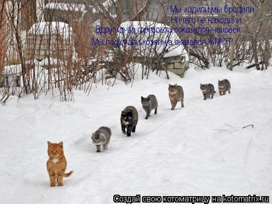 Мы ходили,мы бродили Ничего не находили. Вдруг из-за горизонта показался-человек Мы подумали хозяин,а... Котоматрица: Мы ходили,мы бродили Ничего не находили. Вдруг из-за горизонта показался-человек Мы подумали хозяин,а оказался ЖМОТ!