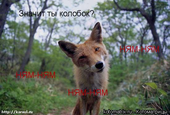 Значит ты колобок? НЯМ-НЯМ НЯМ-НЯМ НЯМ-НЯМ... Котоматрица: Значит ты колобок? НЯМ-НЯМ НЯМ-НЯМ НЯМ-НЯМ