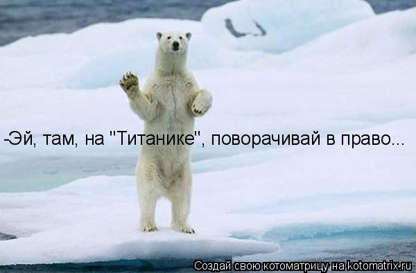 -Эй, там, на "Титанике", поворачивай в право...... Котоматрица: -Эй, там, на "Титанике", поворачивай в право...