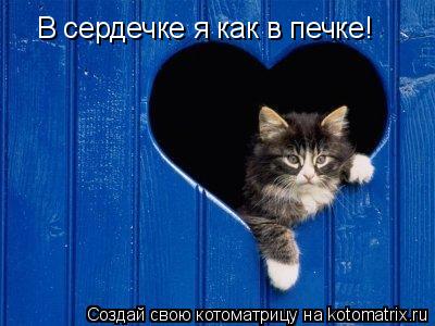 В сердечке я как в печке!... Котоматрица: В сердечке я как в печке!