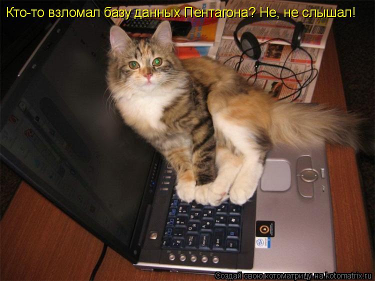 Кто-то взломал базу данных Пентагона? Не, не слышал!... Котоматрица: Кто-то взломал базу данных Пентагона? Не, не слышал!