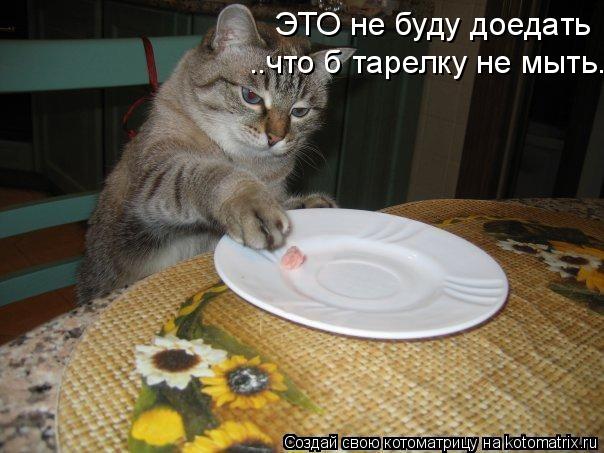 ЭТО не буду доедать ..что б тарелку не мыть.... Котоматрица: ЭТО не буду доедать ..что б тарелку не мыть.