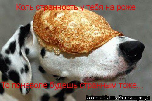 Коль странность у тебя на роже То поневоле будешь странным тоже...... Котоматрица: Коль странность у тебя на роже То поневоле будешь странным тоже...