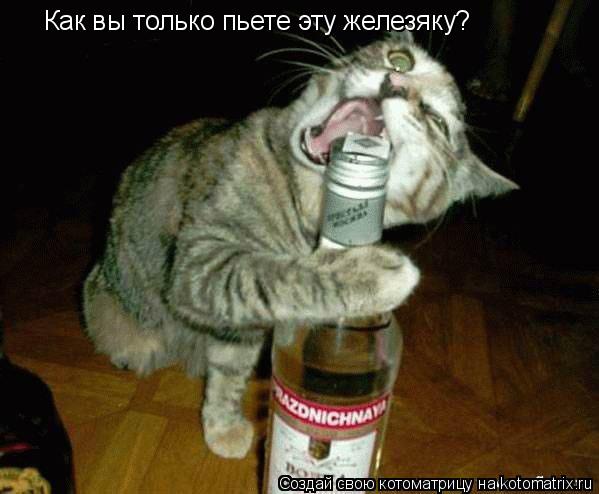 Как вы только пьете эту железяку?... Котоматрица: Как вы только пьете эту железяку?