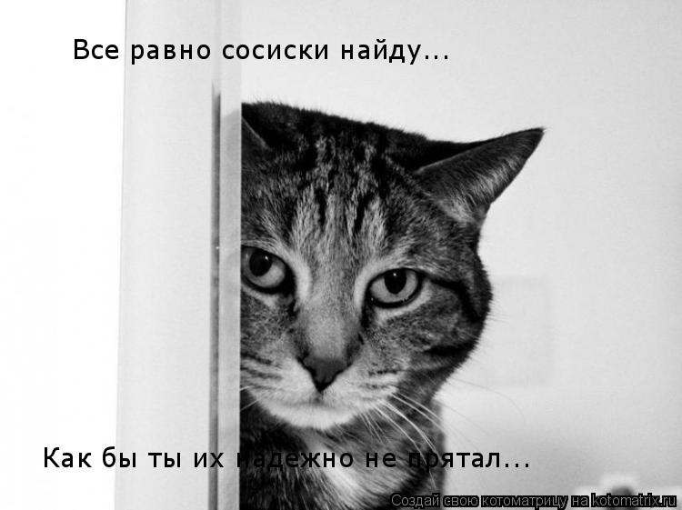 Все равно сосиски найду... Как бы ты их надежно не прятал...... Котоматрица: Все равно сосиски найду... Как бы ты их надежно не прятал...