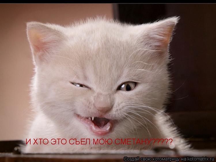 И ХТО ЭТО СЪЕЛ МОЮ СМЕТАНУ?????... Котоматрица: И ХТО ЭТО СЪЕЛ МОЮ СМЕТАНУ?????
