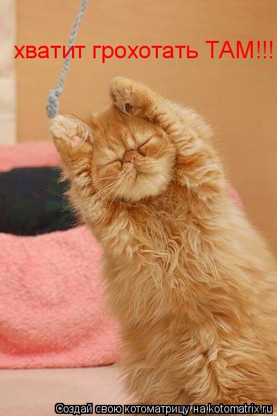 хватит грохотать ТАМ!!!... Котоматрица: хватит грохотать ТАМ!!!