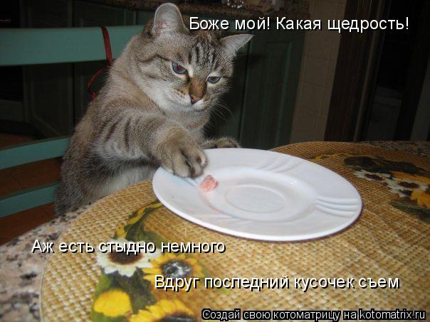 Боже мой! Какая щедрость! Аж есть стыдно немного Вдруг последний кусочек съем... Котоматрица: Боже мой! Какая щедрость! Аж есть стыдно немного Вдруг последний кусочек съем