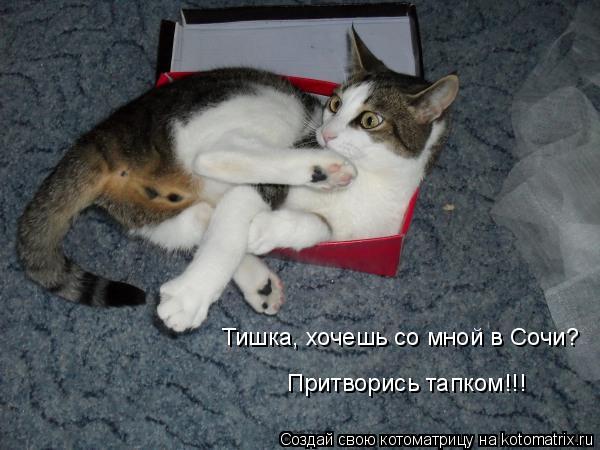 Тишка, хочешь со мной в Сочи? Притворись тапком!!!... Котоматрица: Тишка, хочешь со мной в Сочи? Притворись тапком!!!