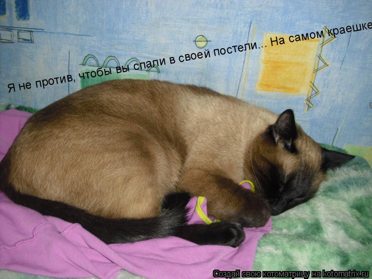 Я не против, чтобы вы спали в своей постели... На самом краешке.... Котоматрица: Я не против, чтобы вы спали в своей постели... На самом краешке.