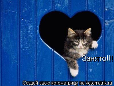 Занято!!!... Котоматрица: Занято!!!