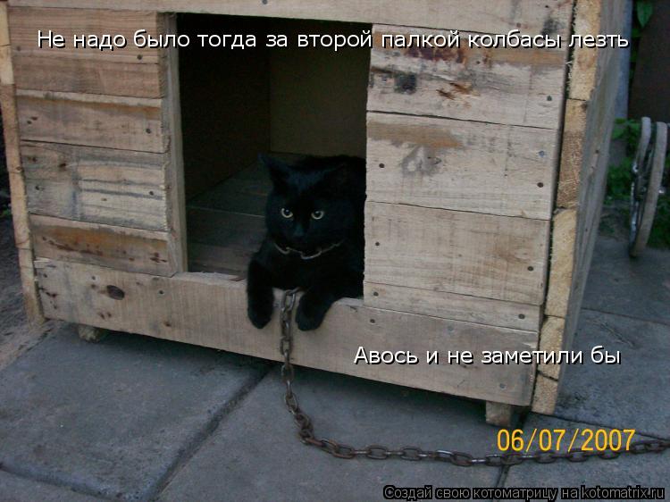 Не надо было тогда за второй палкой колбасы лезть Авось и не заметили бы... Котоматрица: Не надо было тогда за второй палкой колбасы лезть Авось и не заметили бы