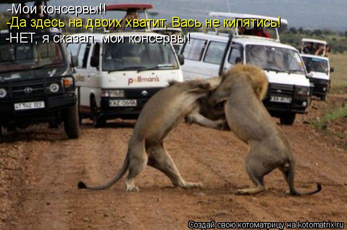 -Мои консервы!! -Да здесь на двоих хватит, Вась не кипятись! -НЕТ, я сказал, мои консервы!... Котоматрица: -Мои консервы!! -Да здесь на двоих хватит, Вась не кипятись! -НЕТ, я сказал, мои консервы!