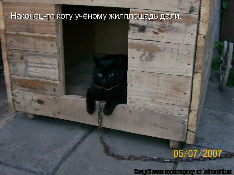 Наконец-то коту учёному жилплощадь дали.... Котоматрица: Наконец-то коту учёному жилплощадь дали.