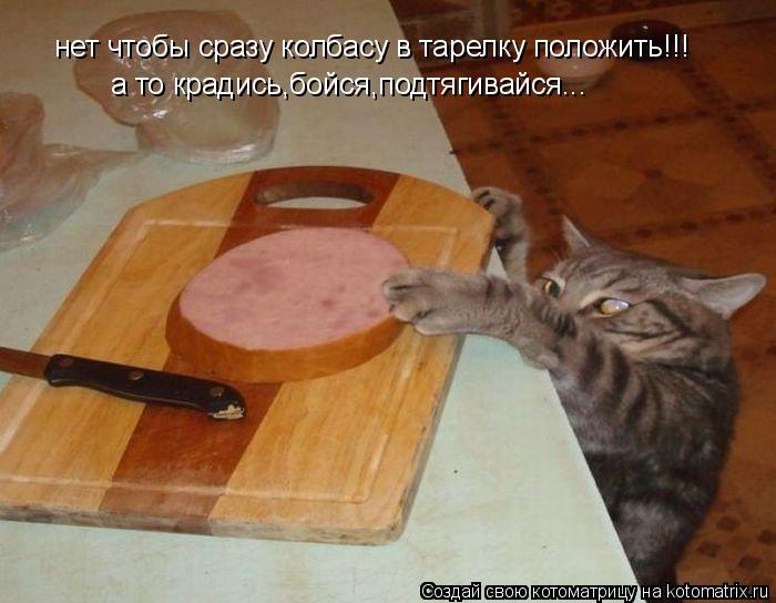 нет чтобы сразу колбасу в тарелку положить!!! а то крадись,бойся,подтягивайся...... Котоматрица: нет чтобы сразу колбасу в тарелку положить!!! а то крадись,бойся,подтягивайся...