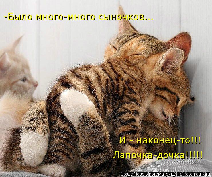 -Было много-много сыночков... И - наконец-то!!! Лапочка-дочка!!!!!... Котоматрица: -Было много-много сыночков... И - наконец-то!!! Лапочка-дочка!!!!!