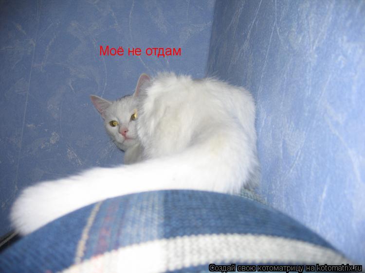 Моё не отдам... Котоматрица: Моё не отдам