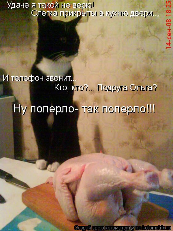 Удаче я такой не верю! Слегка прикрыты в кухню двери... И телефон звонит... Кто, кто?... Подруга Ольг... Котоматрица: Удаче я такой не верю! Слегка прикрыты в кухню двери... И телефон звонит... Кто, кто?... Подруга Ольга? Ну поперло- так поперло!!!